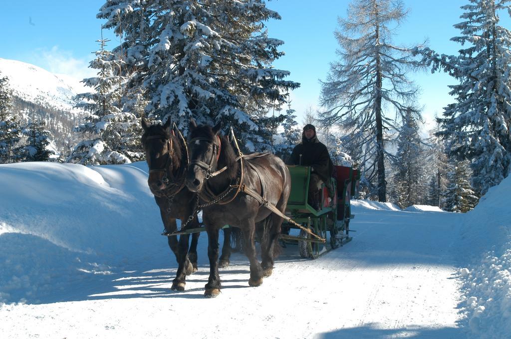 Ferienwohnung Lieserhaus Rennweg am Katschberg Extérieur photo